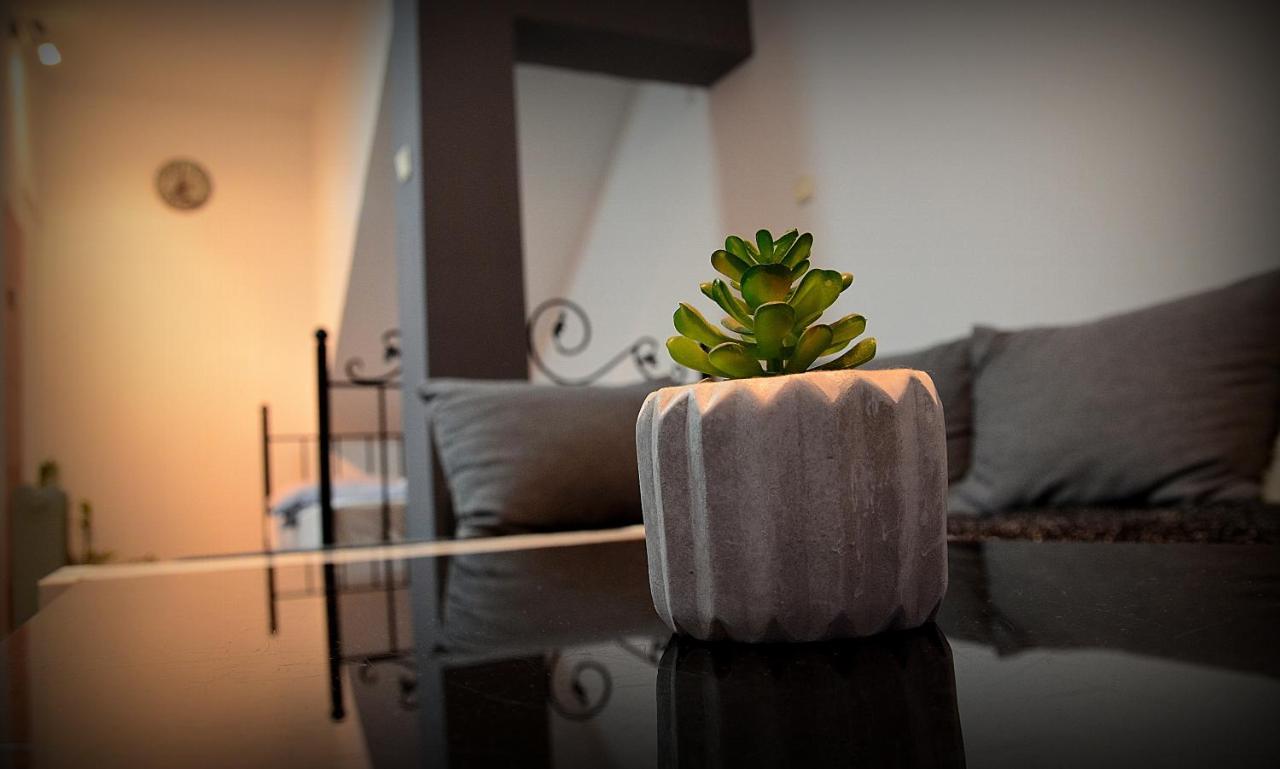 Iva Studio-Apartment Kladovo Kültér fotó